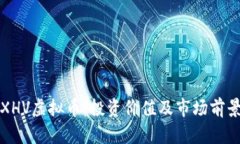 探索XHV虚拟币：投资价值及市场前景分析