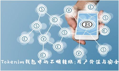 如何处理Tokenim钱包中的不明转账：用户价值与安全防护指南