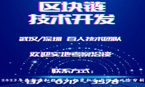 2023年最新虚拟数字币：投资机会与潜在风险分析