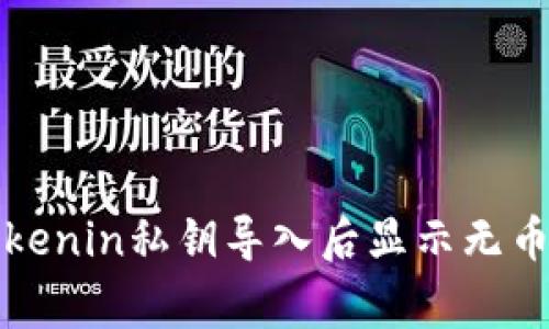 如何解决Tokenin私钥导入后显示无币的常见问题