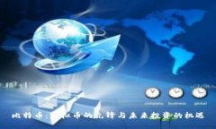比特币：虚拟币的先锋与未来投资的机遇