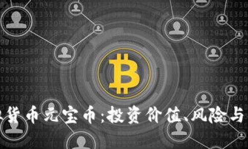 探讨虚拟货币元宝币：投资价值、风险与未来发展