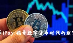 虚拟币iPay：揭开数字货币时代的财富密码