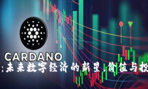 北斗虚拟币：未来数字经济的新星，价值与投资前景分析