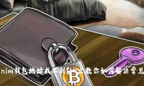 Tokenim钱包地址找不到？一文教你如何解决常见问题