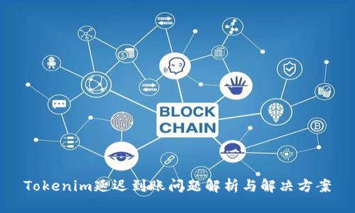 Tokenim延迟到账问题解析与解决方案