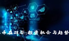虚拟币在硅谷：投资机会与趋势分析
