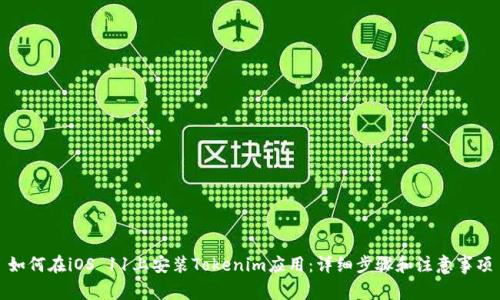如何在iOS 11上安装Tokenim应用：详细步骤和注意事项
