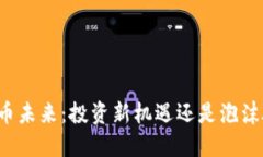 虚拟币未来：投资新机遇还是泡沫破灭？