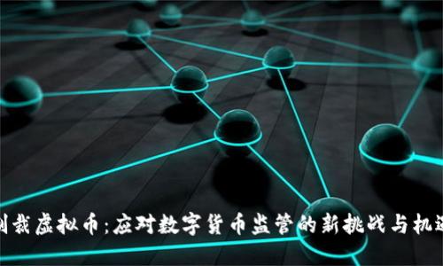 制裁虚拟币：应对数字货币监管的新挑战与机遇