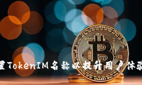 如何正确设置TokenIM名称以提升用户体验和品牌价值