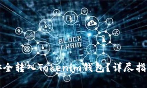 如何将JK币安全转入Tokenim钱包？详尽指南与注意事项