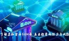 深入了解虚拟货币BDM币：未来投资的潜力与风险