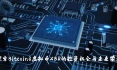 探索BitcoinR虚拟币XBR的投资机会与未来前景