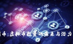 金刚币：虚拟币投资的未来与潜力分析