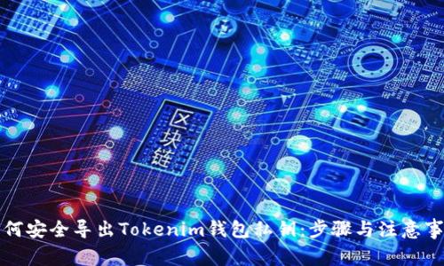 如何安全导出Tokenim钱包私钥：步骤与注意事项