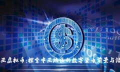 中亚虚拟币：探索中亚地区的数字货币前景与潜