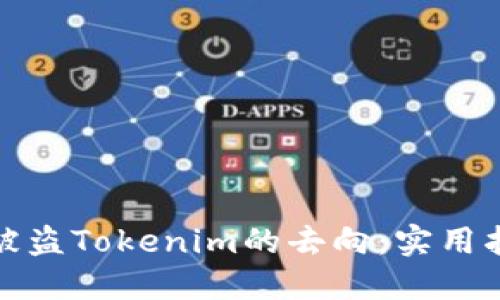 如何追踪被盗Tokenim的去向：实用指南与建议