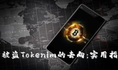 如何追踪被盗Tokenim的去向：实用指南与建议