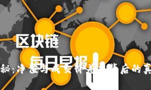 虚拟币市场揭秘：净值与成交价差异背后的真相与投资价值