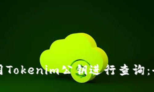 如何使用Tokenim公钥进行查询：全面指南