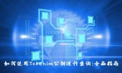 如何使用Tokenim公钥进行查询：全面指南