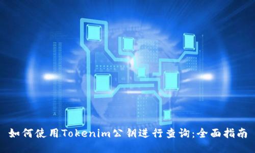 如何使用Tokenim公钥进行查询：全面指南