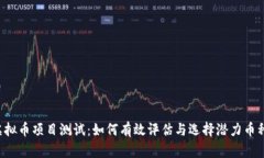 虚拟币项目测试：如何有效评估与选择潜力币种