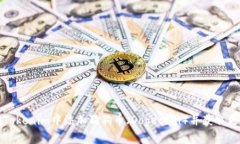 如何在Tokenim中添加狗狗币（Dogecoin）并获取更多