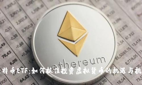 比特币ETF：如何抓住投资虚拟货币的机遇与挑战
