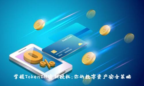 掌握TokenIM密钥授权：你的数字资产安全策略