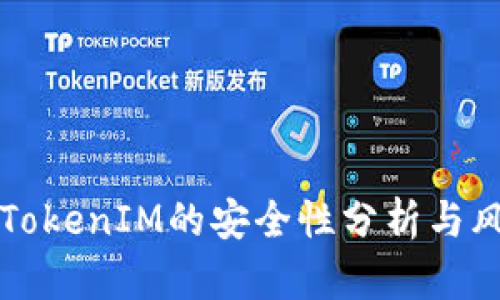 老版本TokenIM的安全性分析与风险评估