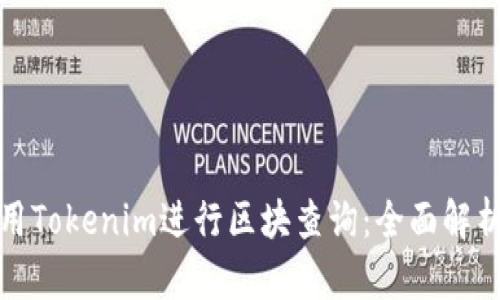 如何高效利用Tokenim进行区块查询：全面解析与实用技巧