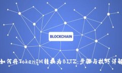 如何将TokenIM转换为BITZ：步骤与技巧详解