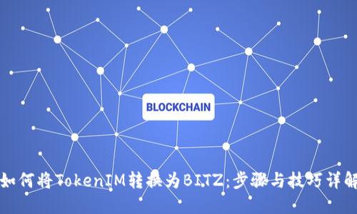 如何将TokenIM转换为BITZ：步骤与技巧详解