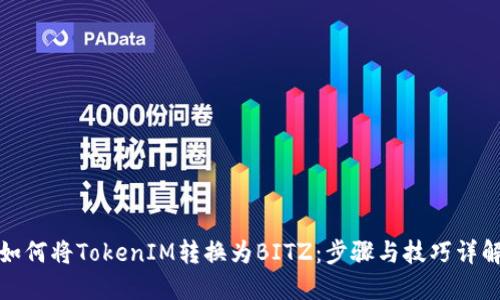 如何将TokenIM转换为BITZ：步骤与技巧详解