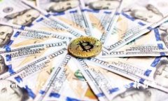 探秘Tokenim钱包PCC：加密资产管理的新选择与用户