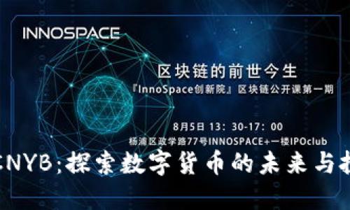 虚拟币CNYB：探索数字货币的未来与投资机会