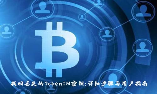 找回丢失的TokenIM密钥：详细步骤与用户指南