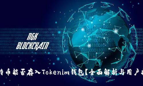 莱特币能否存入Tokenim钱包？全面解析与用户指南