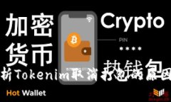 深度解析Tokenim取消打包的原因与影响