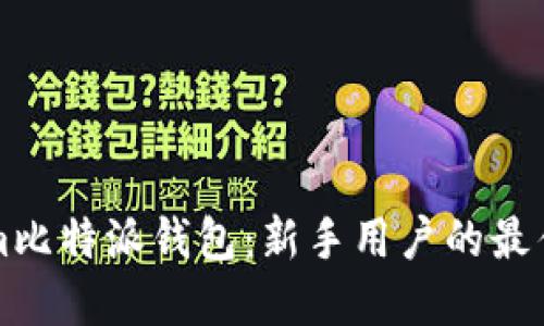 深入了解Tokenim比特派钱包：新手用户的最佳选择与安全解读