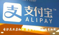 爱沙尼亚虚拟币：投资与技术的双重机遇