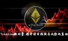 Tokenim搬砖费：揭开项目利润与风险的真相