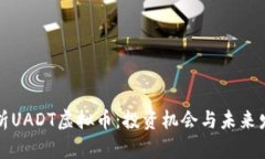 深度解析UADT虚拟币：投资机会与未来发展趋势