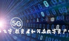 揭秘虚拟币飞宇：投资者如何在数字资产中获取