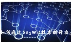 虚拟币隔离见证：如何通过SegWit技术提升交易效