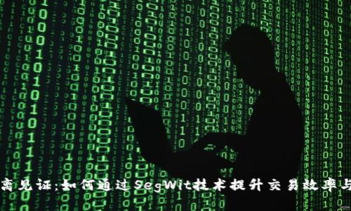 虚拟币隔离见证：如何通过SegWit技术提升交易效率与降低成本