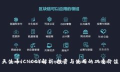 天使币（CNCC）解析：投资与使用的双重价值